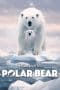 Nonton film Polar Bear (2022) terbaru di Dutamovie21