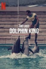 Nonton film The Last Dolphin King (2022) terbaru di Dutamovie21