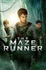 Nonton film The Maze Runner (2014) terbaru di Dutamovie21