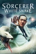 Nonton film The Sorcerer and the White Snake (2011) terbaru di Dutamovie21