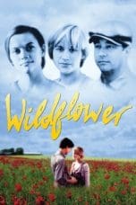 Nonton film Wildflower (1991) terbaru di Dutamovie21