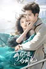 Nonton film Fall in Love Again (2024) terbaru di Dutamovie21